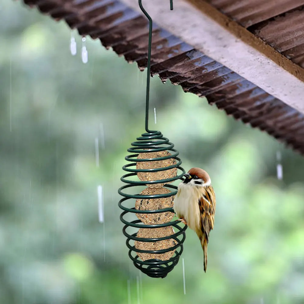 Automatic Wild Bird Spiral Feeding