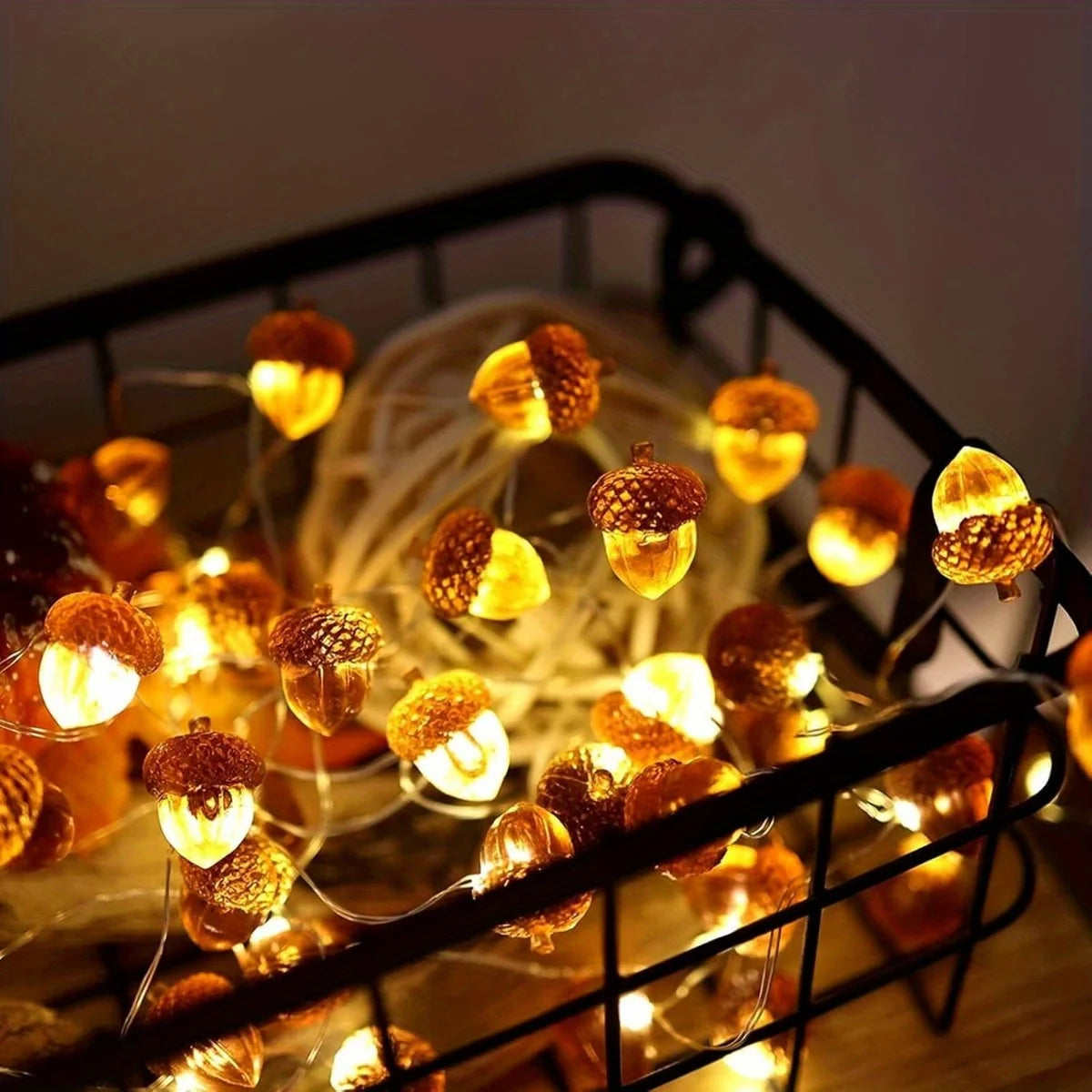 Acorn String Lights Thanksgiving Decorations Fairy Lights 30 LEDs 9.8ft Battery 1PC 2M20LED / United States