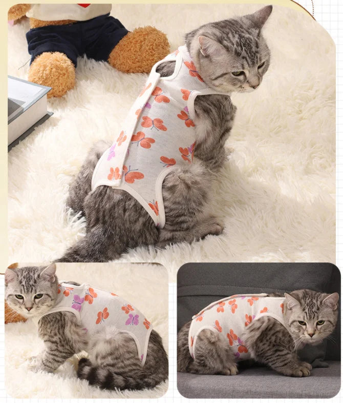 Cat sterilization suit