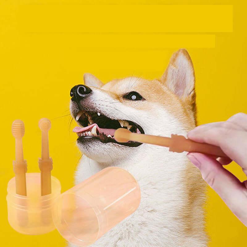 Teeth Whitening Dog Cat Silicone Soft Toothbrush Oral Care Puppy Toothbrush Toothpaste Pet Kit Teeth Cleaning Pet Supplies As picture
