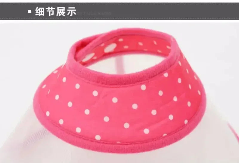 Collars For Anti-Bite Lick Surgery Wound Red / S
