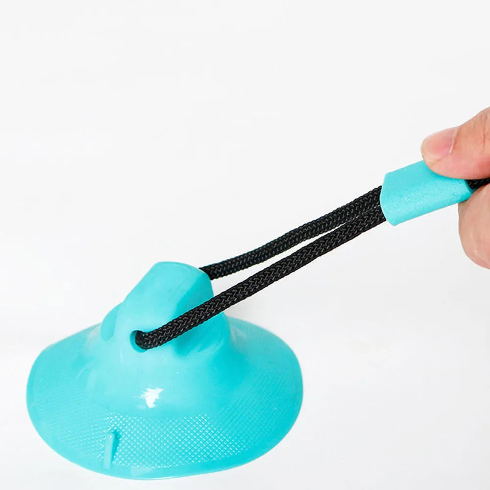 Food Dispenser Suction Cup