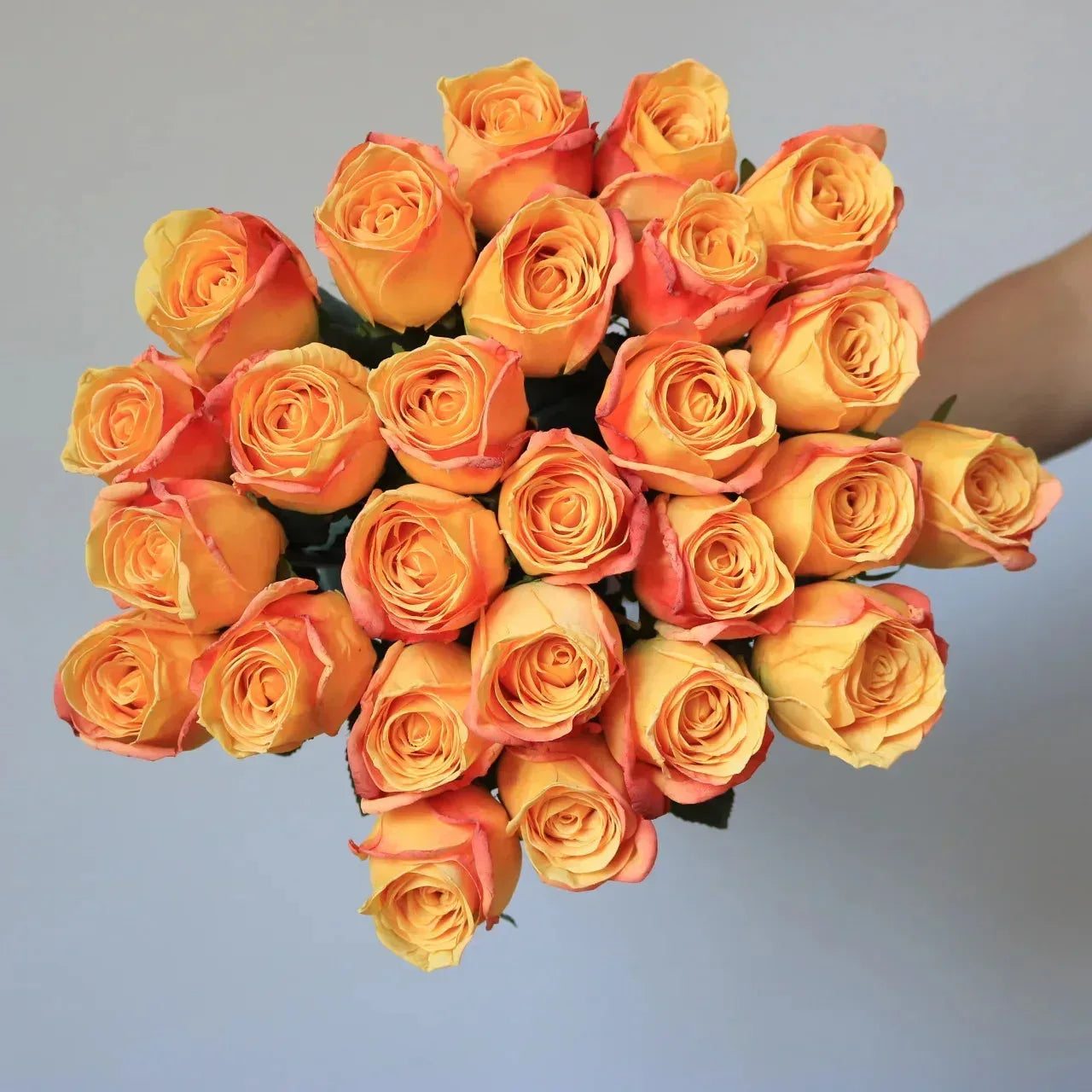 Artificial Burnt Edge Rose Buds Wedding Milky white / 1pcs