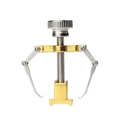 Stainless Steel Nail Ingrown Toenails Corrector Gold