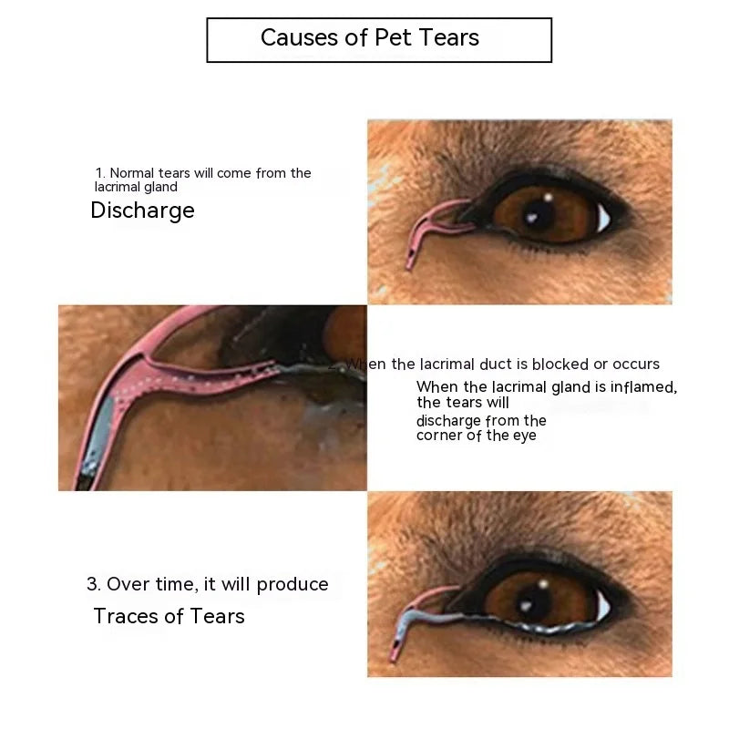 Garfield Cat Eye Cleaning