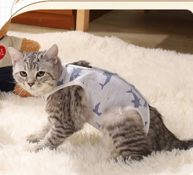 Cat sterilization suit