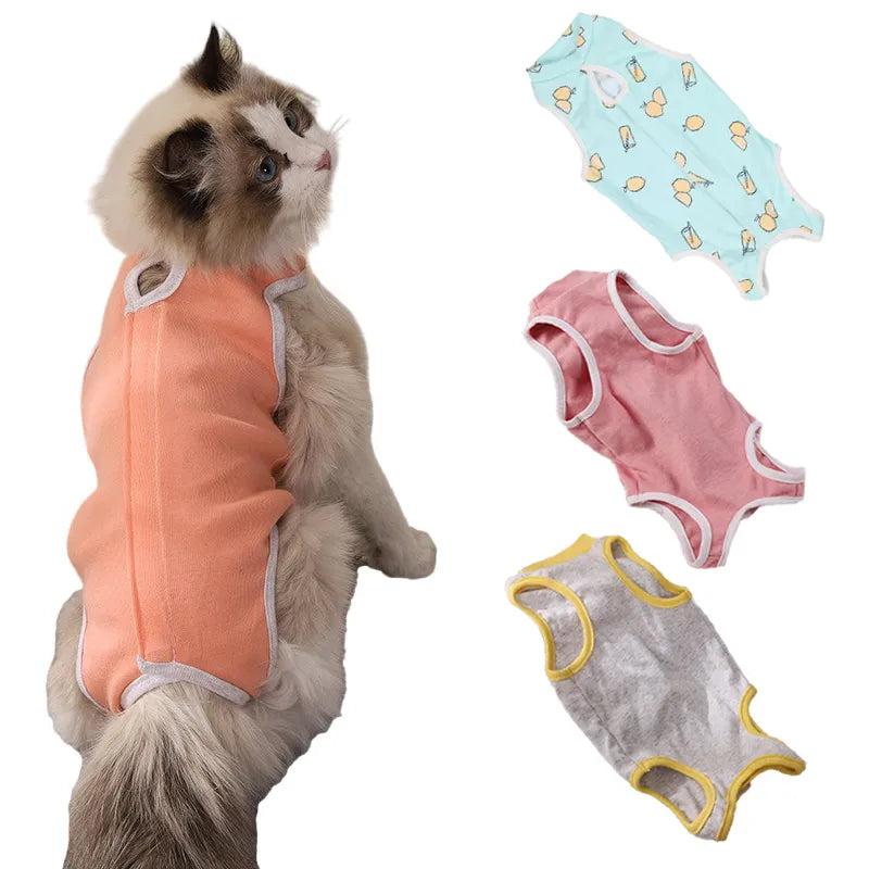 Cat sterilization suit