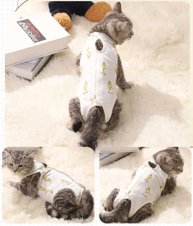 Cat sterilization suit