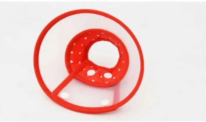 Collars For Anti-Bite Lick Surgery Wound Red / S