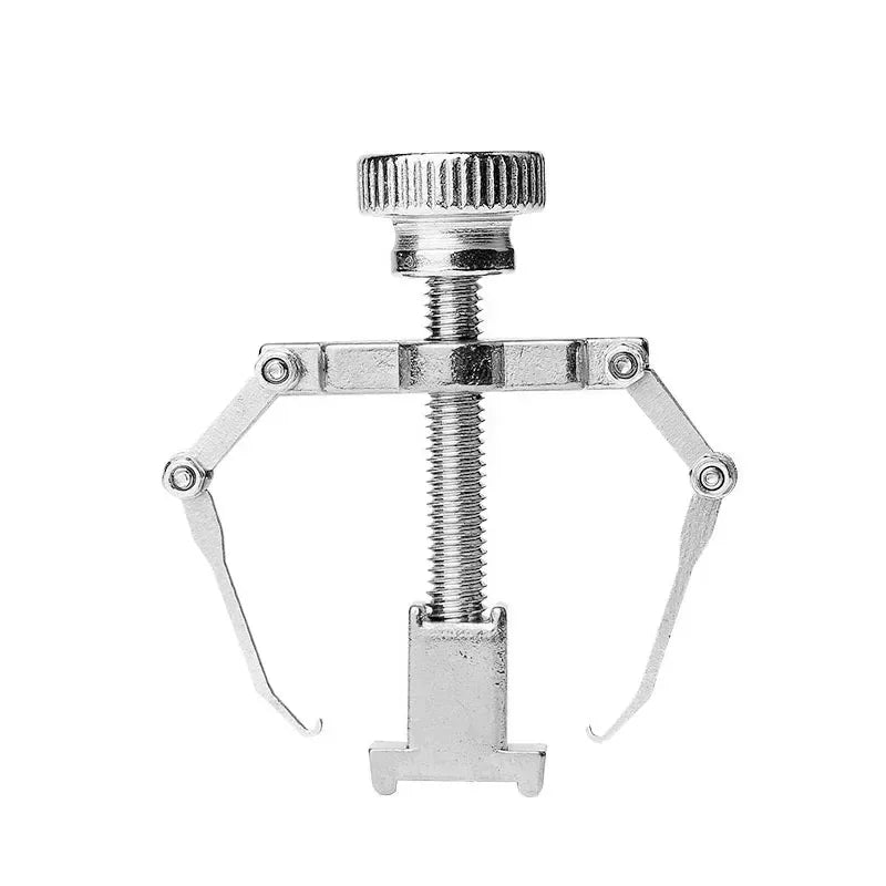 Stainless Steel Nail Ingrown Toenails Corrector Silver