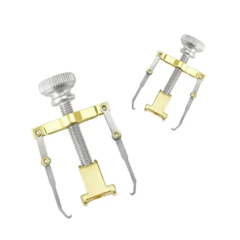 Stainless Steel Nail Ingrown Toenails Corrector Gold
