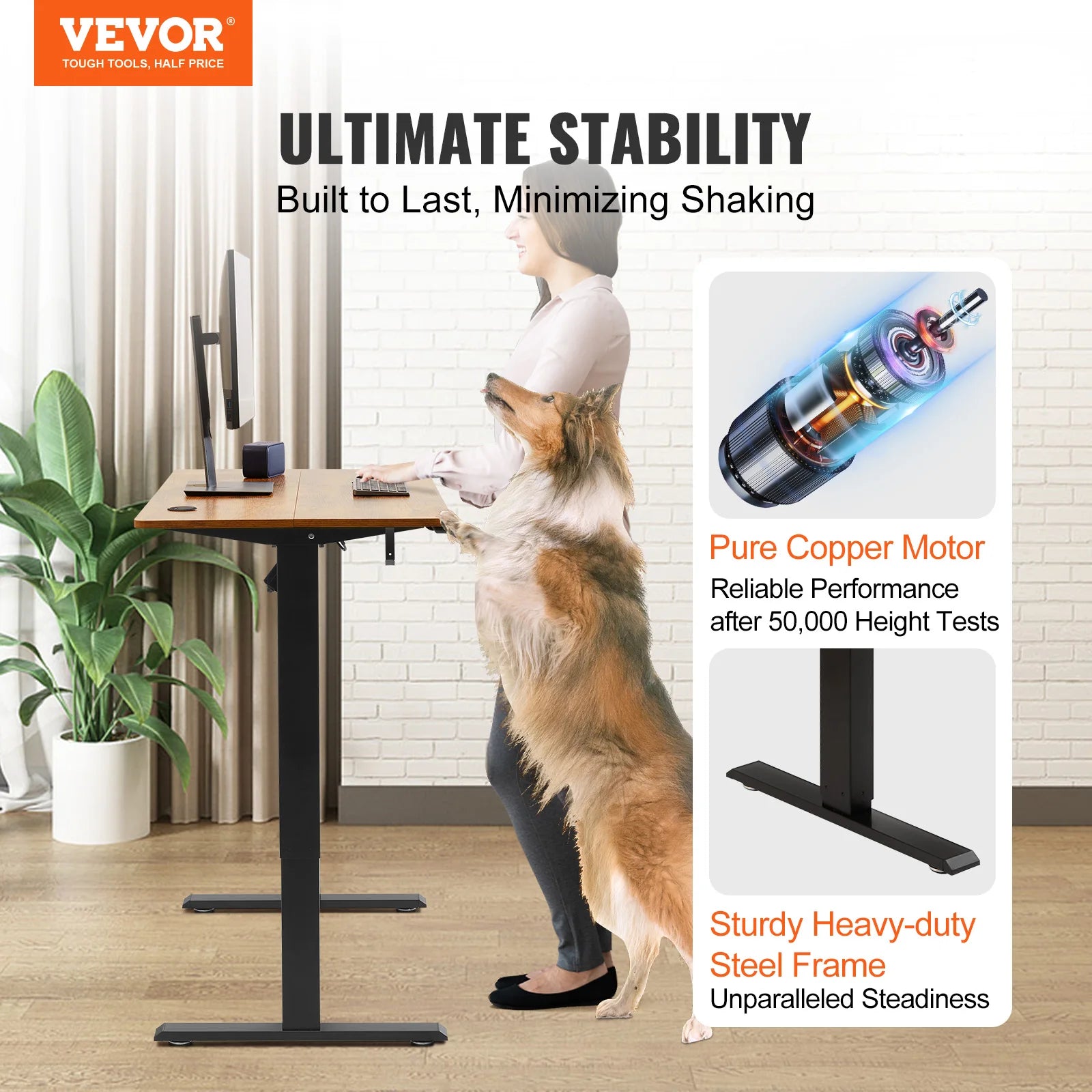 VEVOR Electric Standing Desk