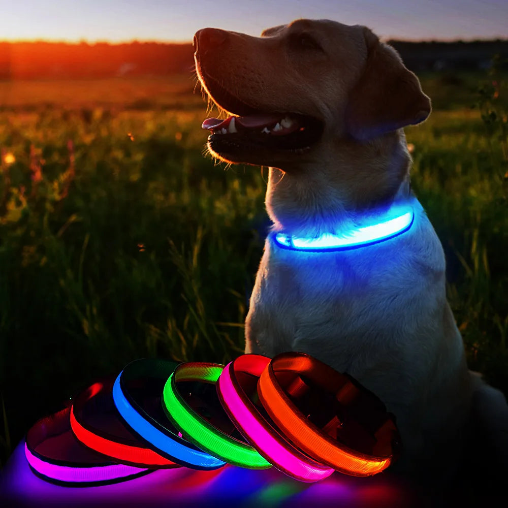 MASBRILL Dog Collar Luminous Pet Supplies Dog Collar Waterpoof Safety Collars