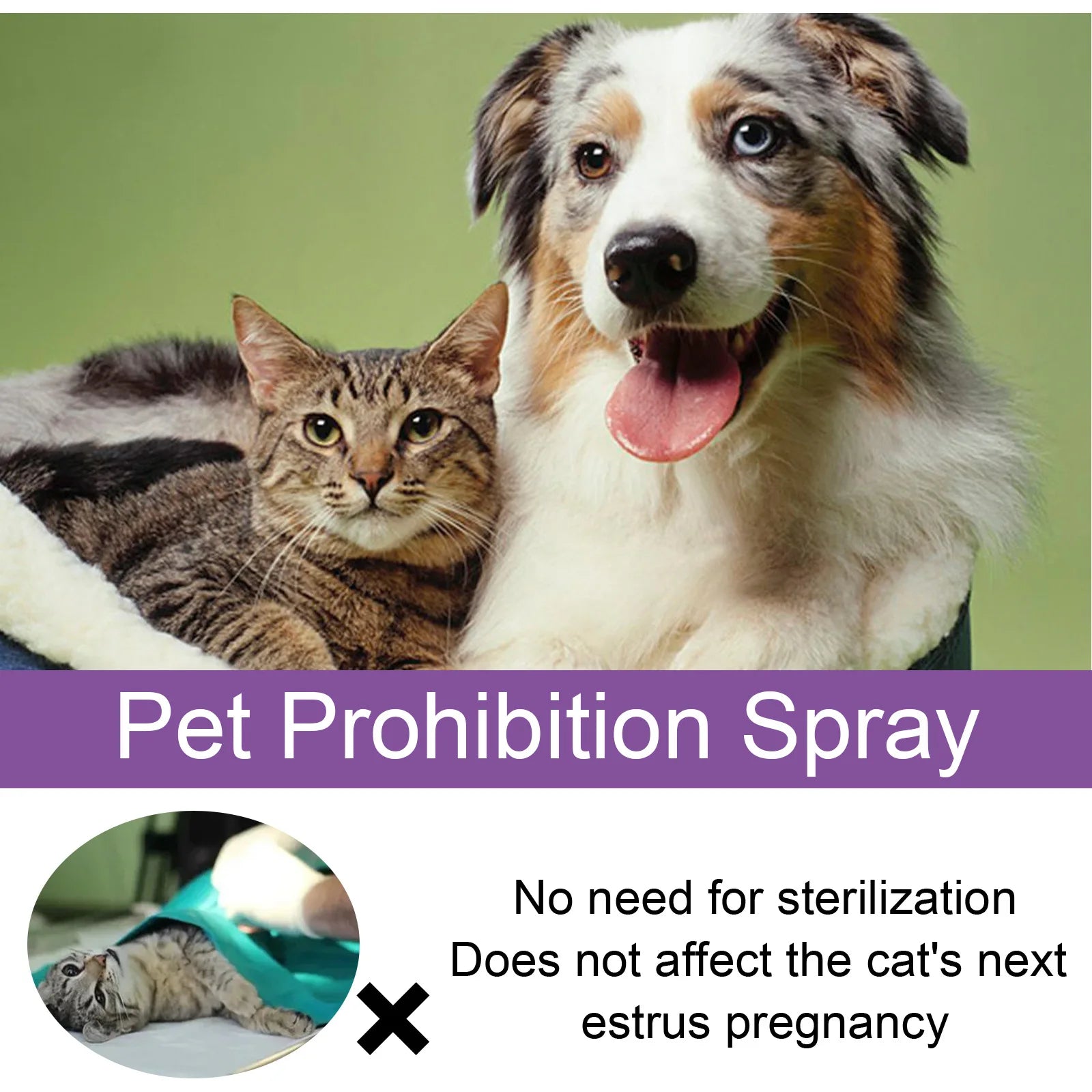 Pet Estrus Calming Spray Cat Anti Anxiety Liquid