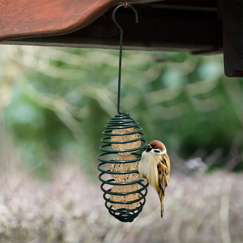 Automatic Wild Bird Spiral Feeding