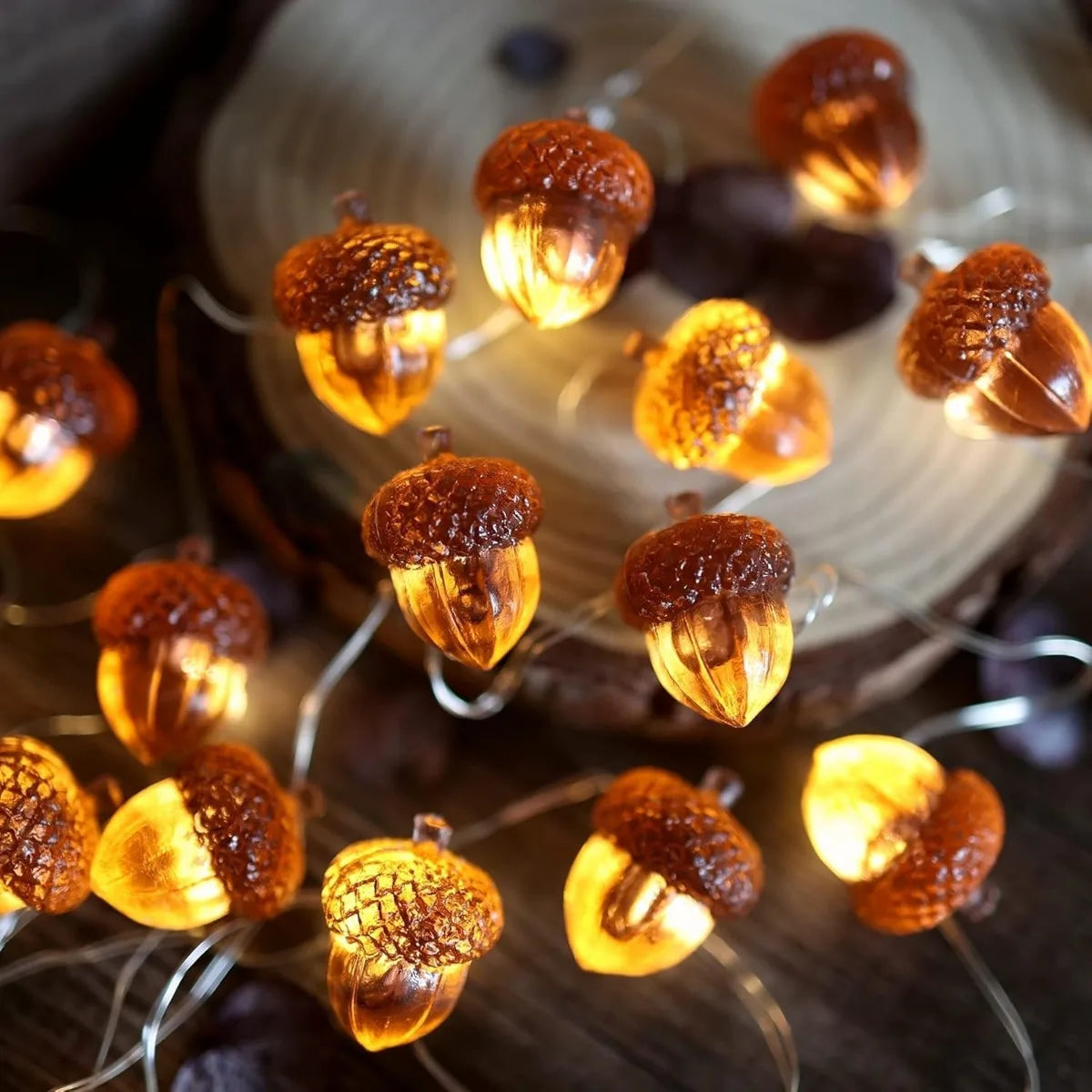 Acorn String Lights Thanksgiving Decorations Fairy Lights 30 LEDs 9.8ft Battery 1PC 2M20LED / United States