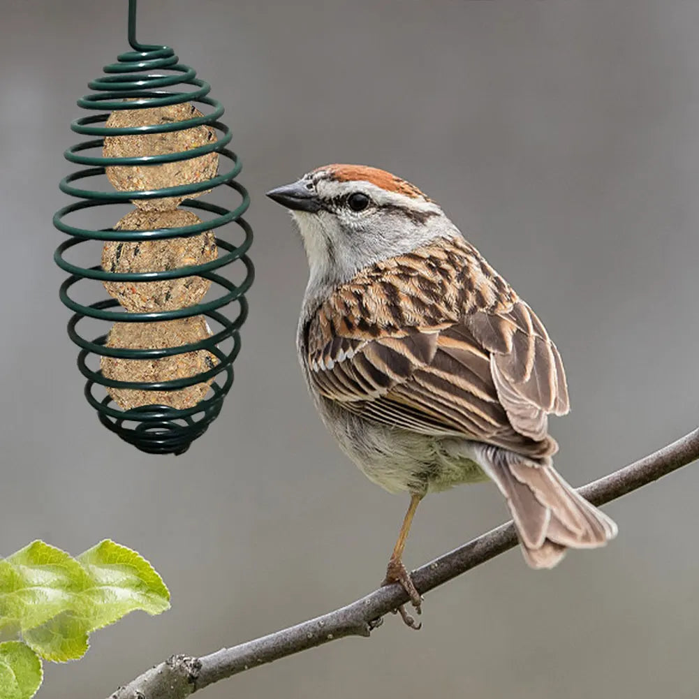 Automatic Wild Bird Spiral Feeding