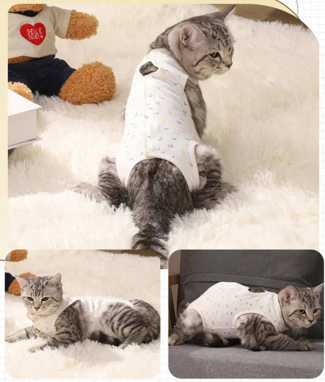 Cat sterilization suit