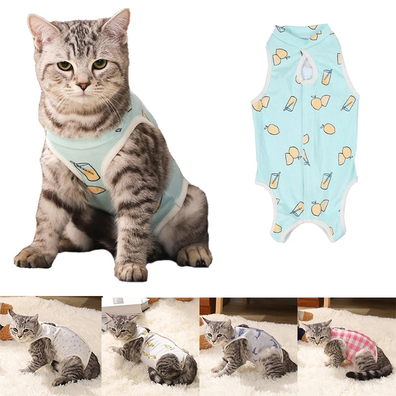 Cat sterilization suit