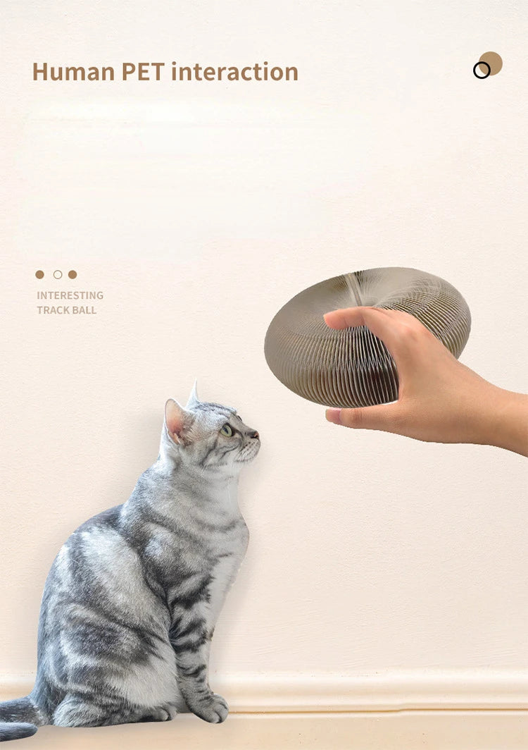 Accordion Cat Scratching Retractable Board