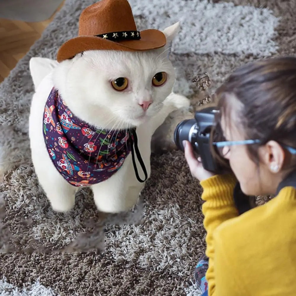 Adjustable Pet Hat