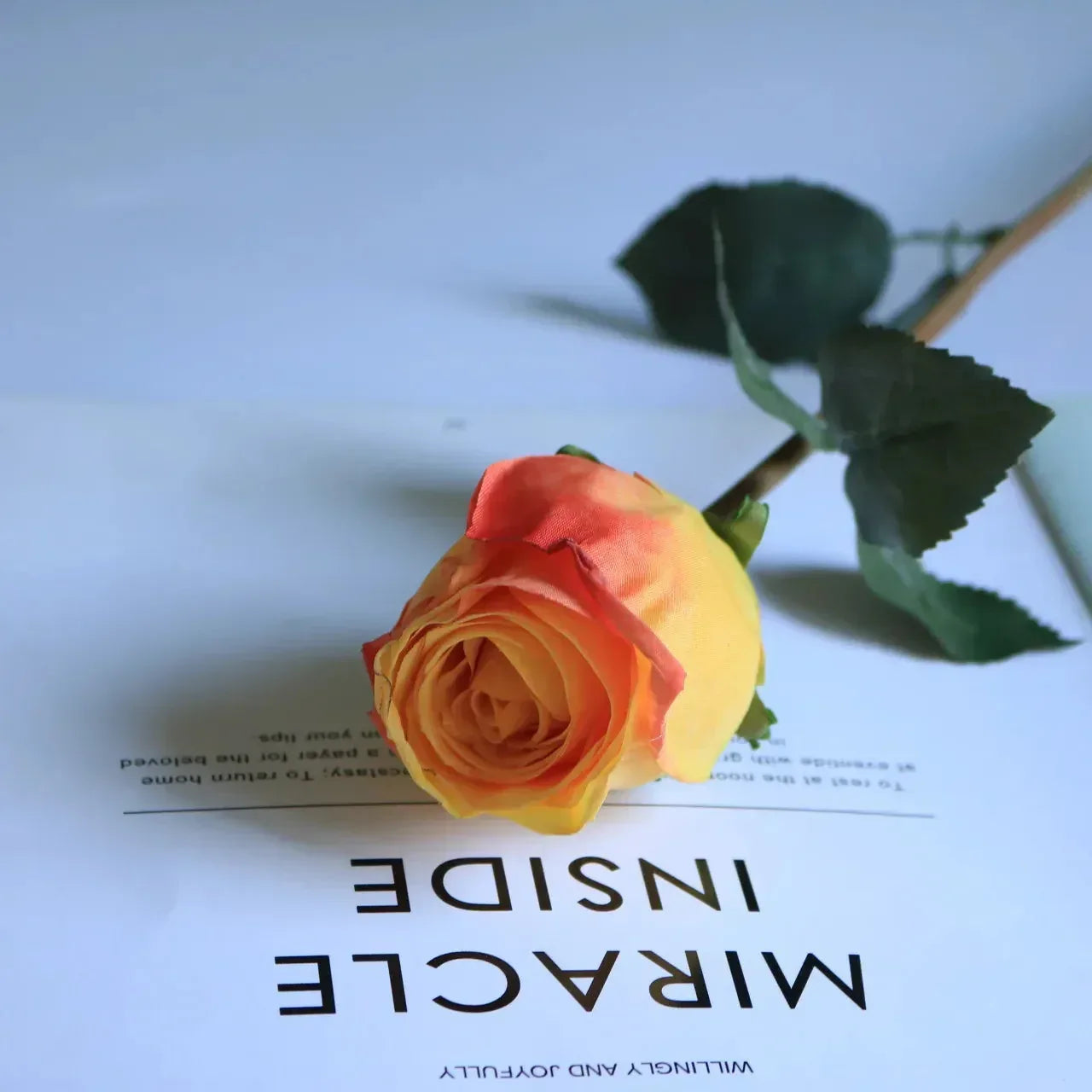 Artificial Burnt Edge Rose Buds Wedding Milky white / 1pcs