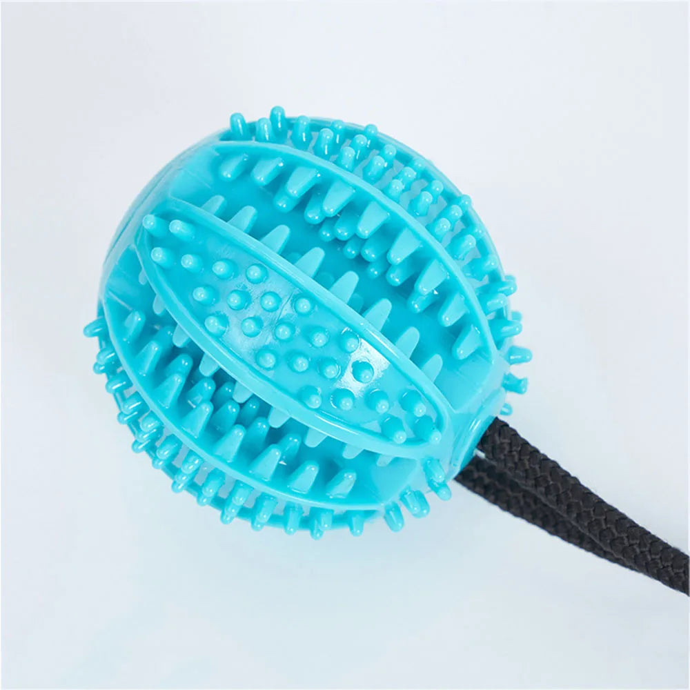 Food Dispenser Suction Cup