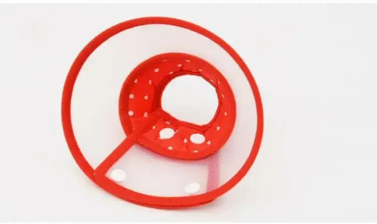 Collars For Anti-Bite Lick Surgery Wound Red / S