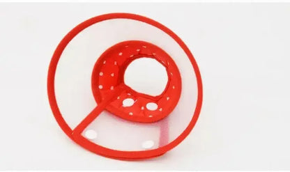 Collars For Anti-Bite Lick Surgery Wound Red / S