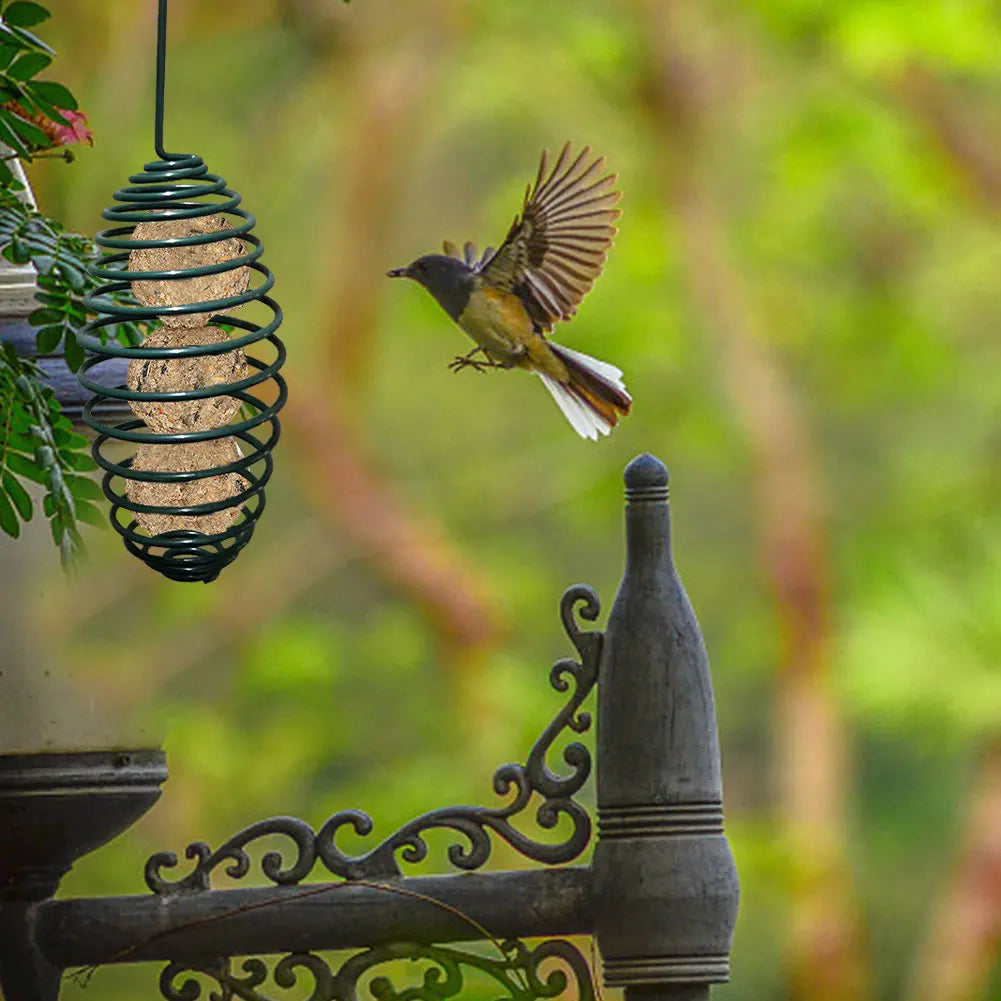 Automatic Wild Bird Spiral Feeding