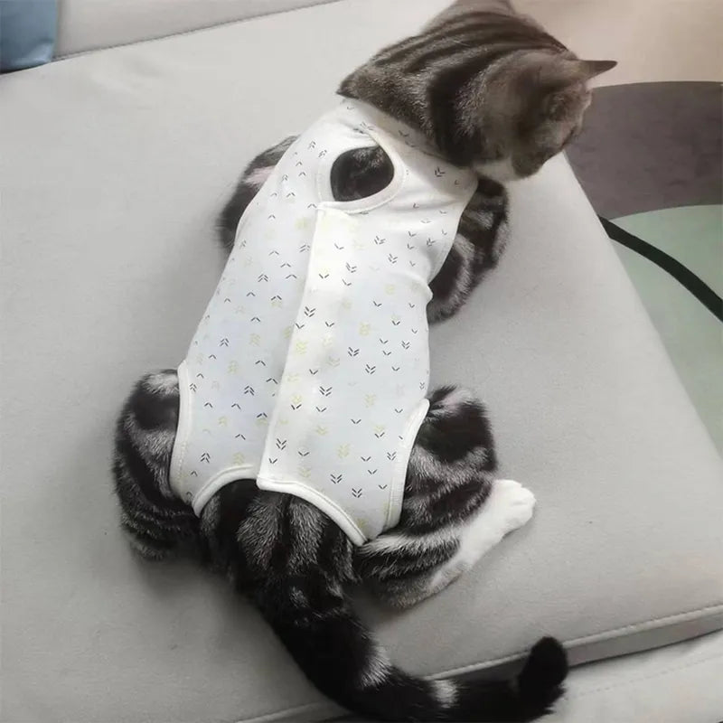 Cat sterilization suit