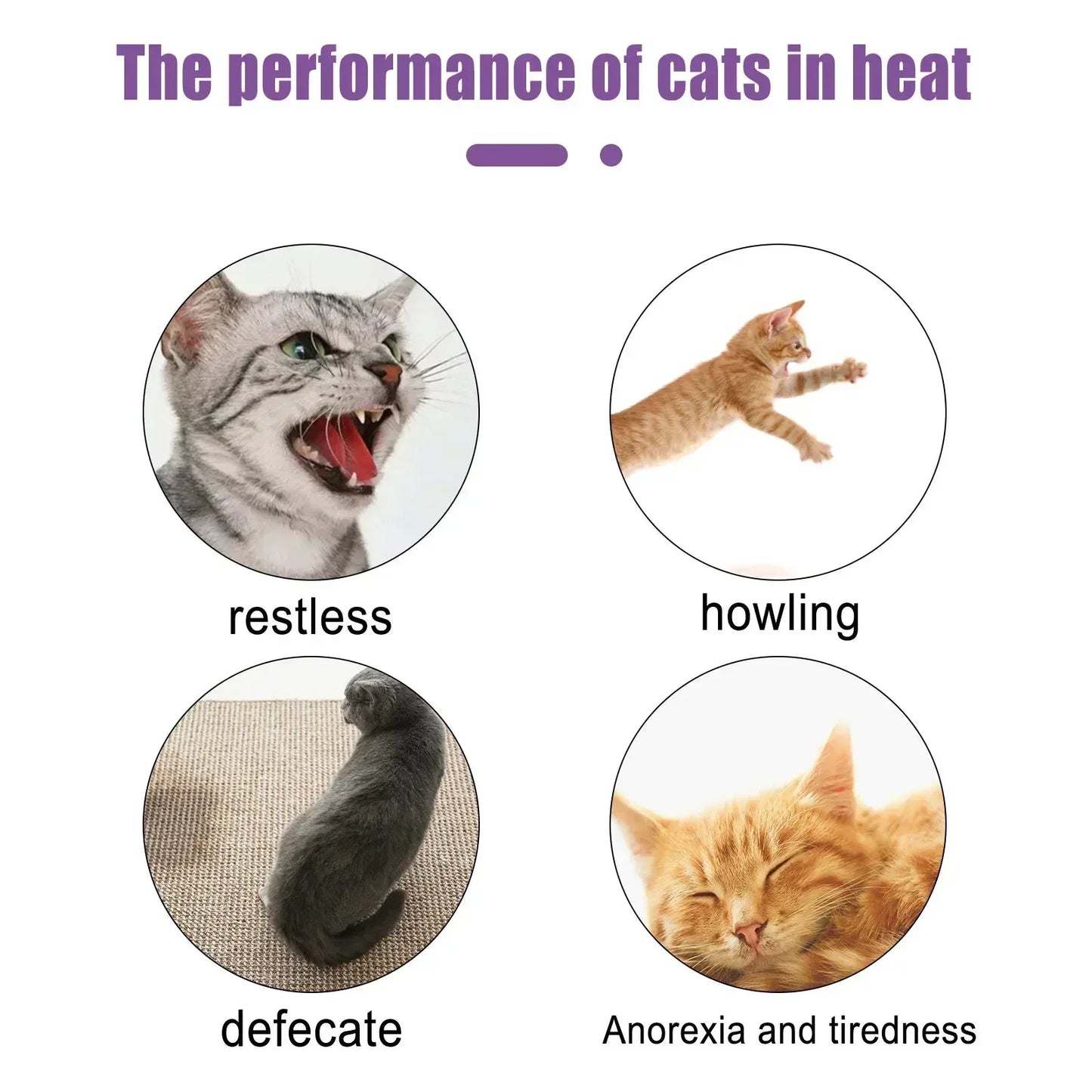 Pet Estrus Calming Spray Cat Anti Anxiety Liquid Default Title