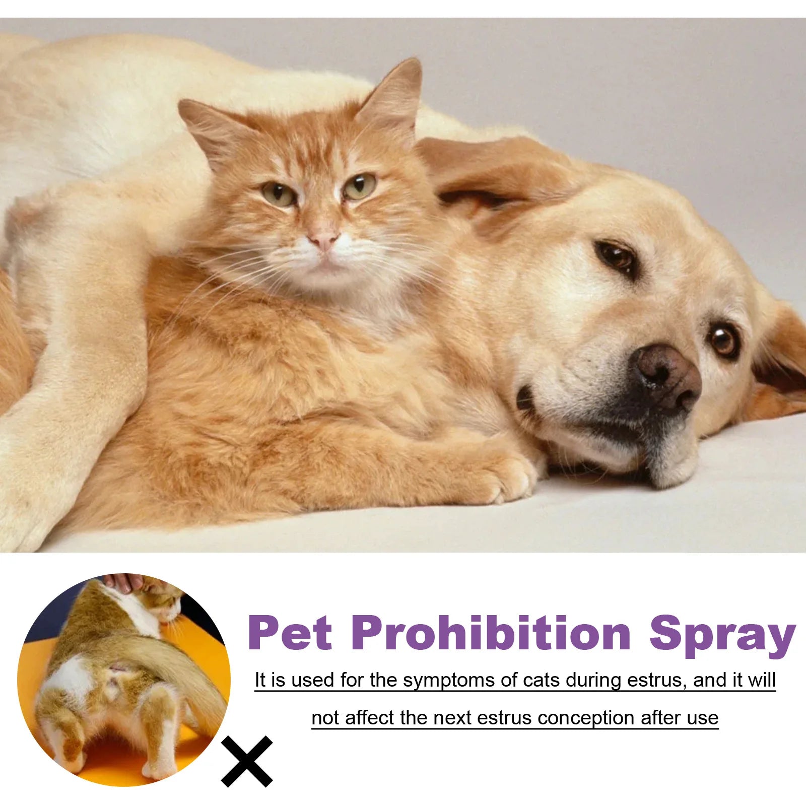 Pet Estrus Calming Spray Cat Anti Anxiety Liquid