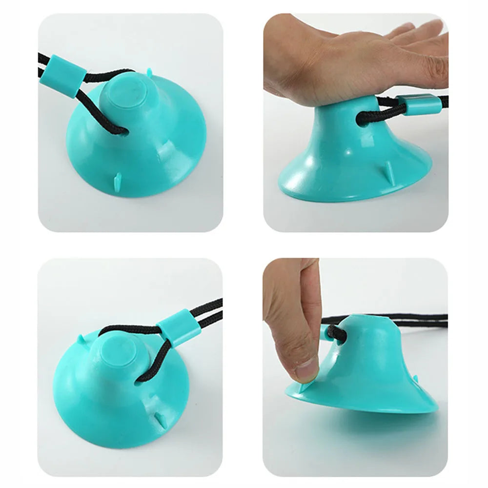 Food Dispenser Suction Cup