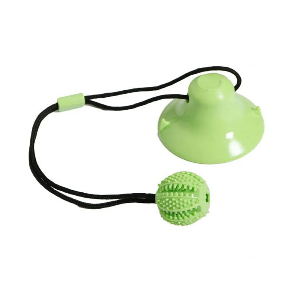 Food Dispenser Suction Cup