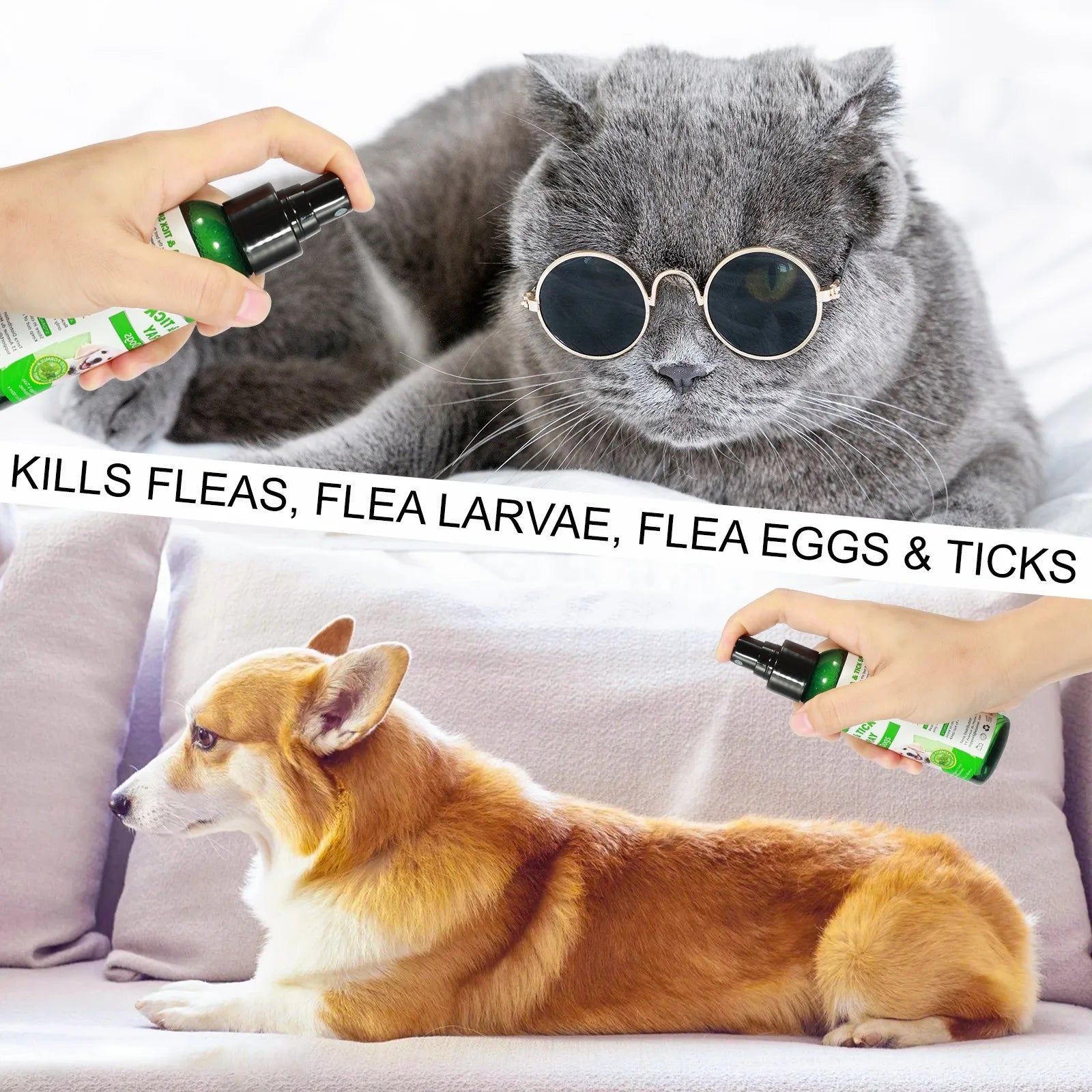 PET Flea & Tick Spray