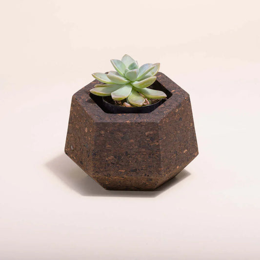 Upcycled Cork Vase Natural Cork