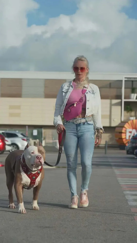 "EROS" BIG dog SET- Harness - collar - lead. Red Size XXL - fitting a neck of 25.6 to 29.6 inch (65 - 75 cm)