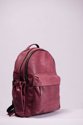 marron color stylish backpack 