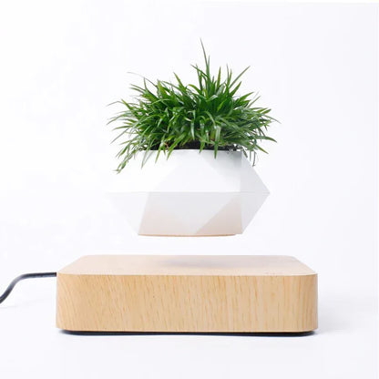 Novelty Levitating Rotation Flowerpot Magnetic Levitation FlowerPot Dark Grain Wood Base