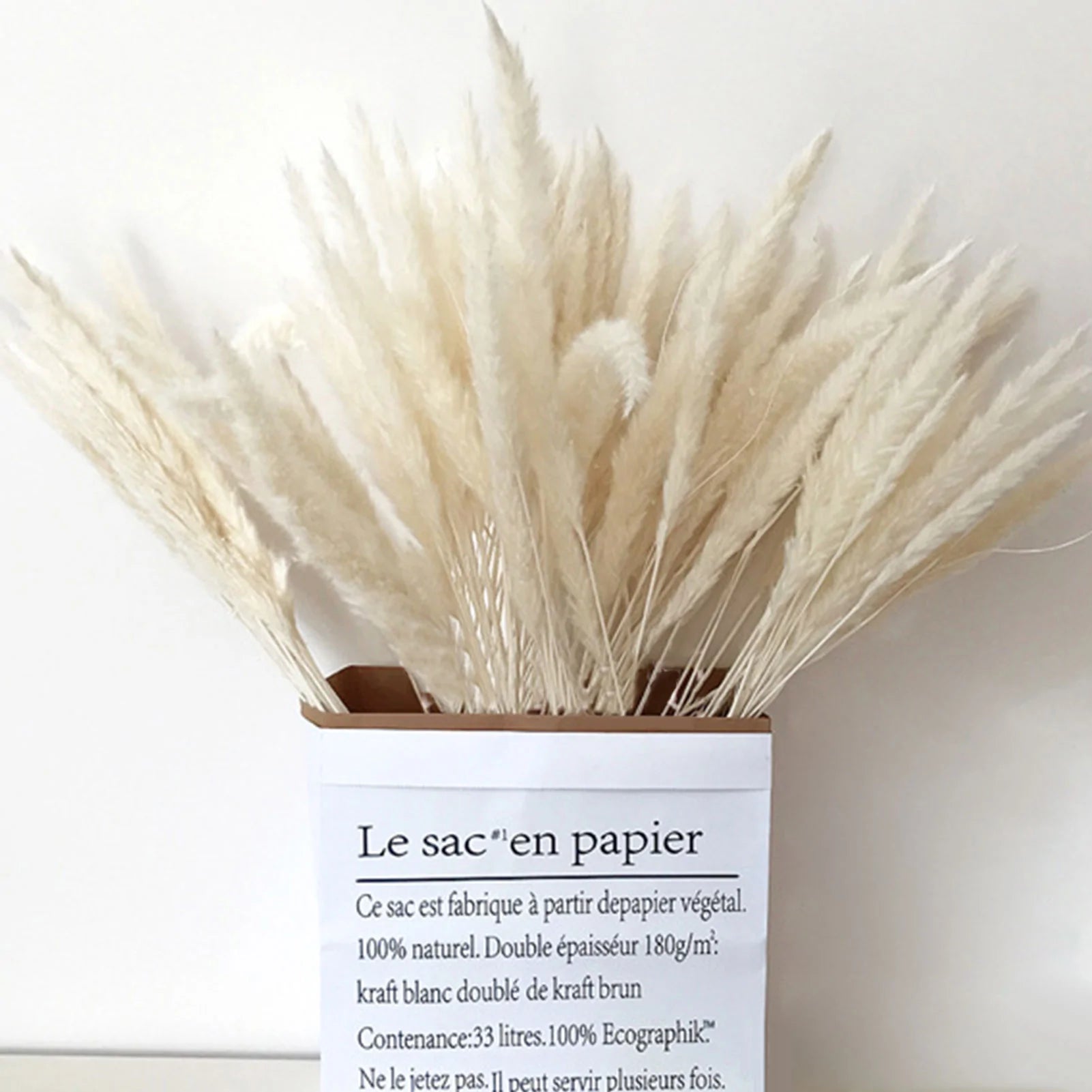 15 Natural Dried Pampas Grass Phragmites for DIY Home and Wedding Decor