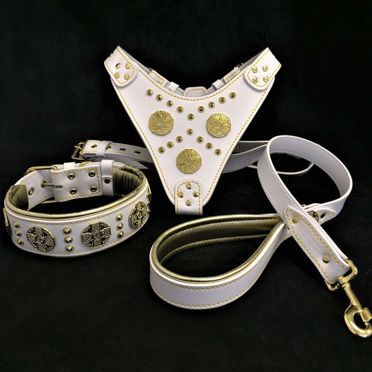 "Maximus White" BIG dog SET- Harness - collar - lead. Brass rivets Size XXL - fitting a neck of 25.6 to 29.6 inch (65 - 75 cm)