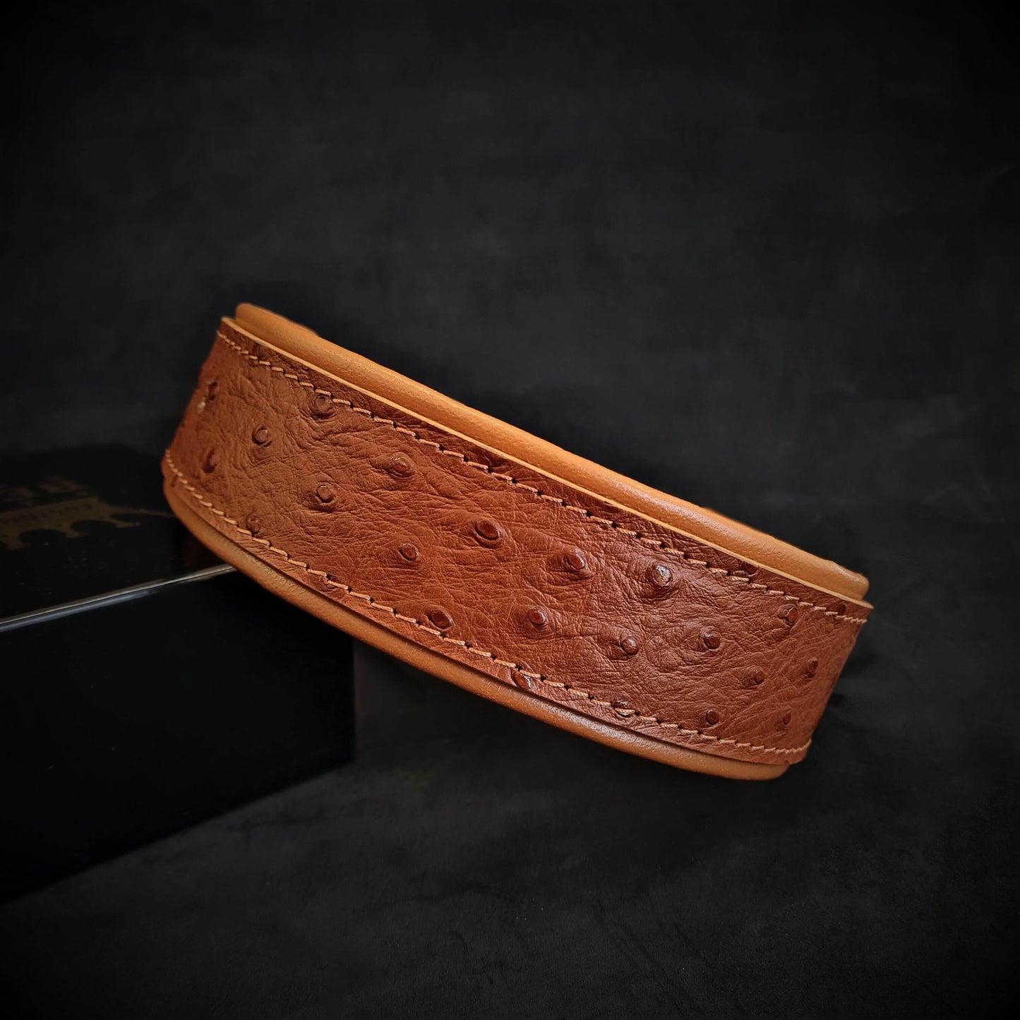 The "Ostrich" collar LIMITED M- neck size of 16.7- 19.7 inch