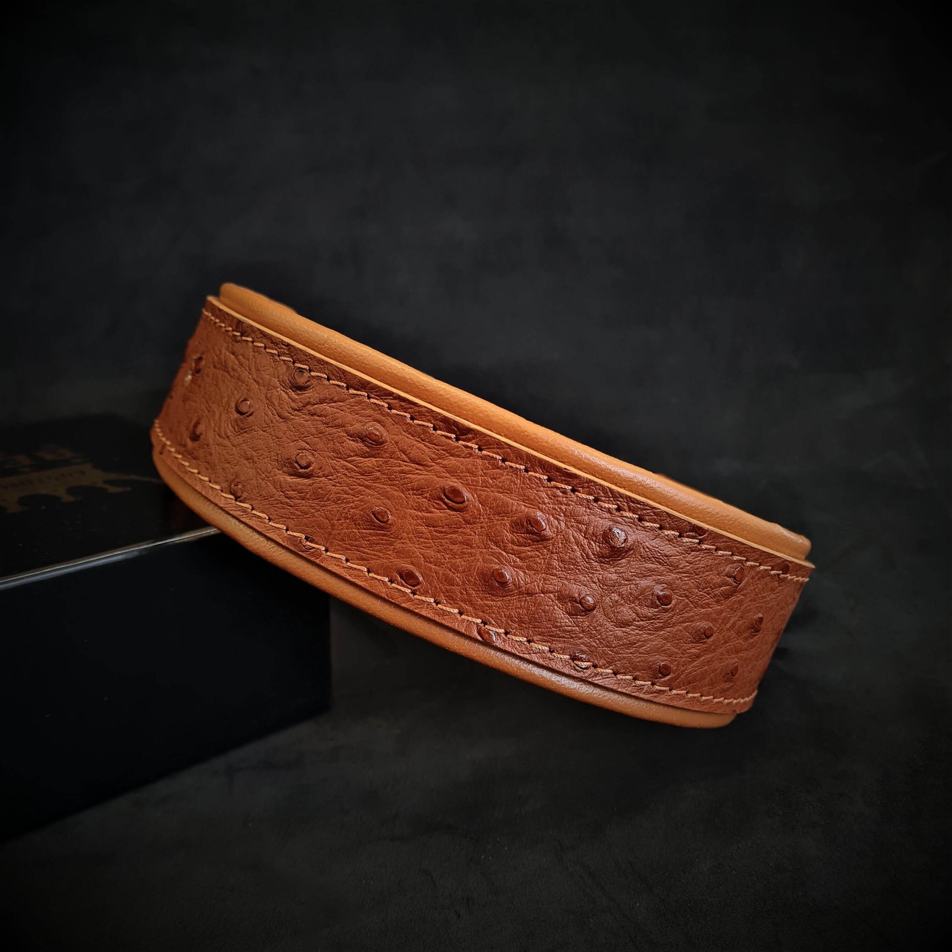 The "Ostrich" collar LIMITED M- neck size of 16.7- 19.7 inch