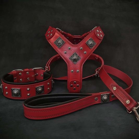 "EROS" BIG dog SET- Harness - collar - lead. Red Size XXL - fitting a neck of 25.6 to 29.6 inch (65 - 75 cm)