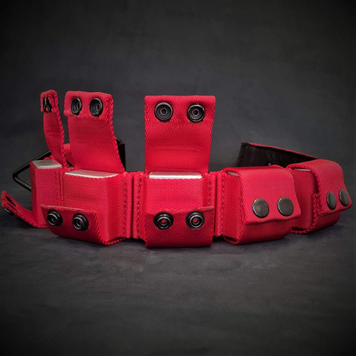 Weighted dog training collar- Red. Large breeds. 5 lbs total. removable weights M