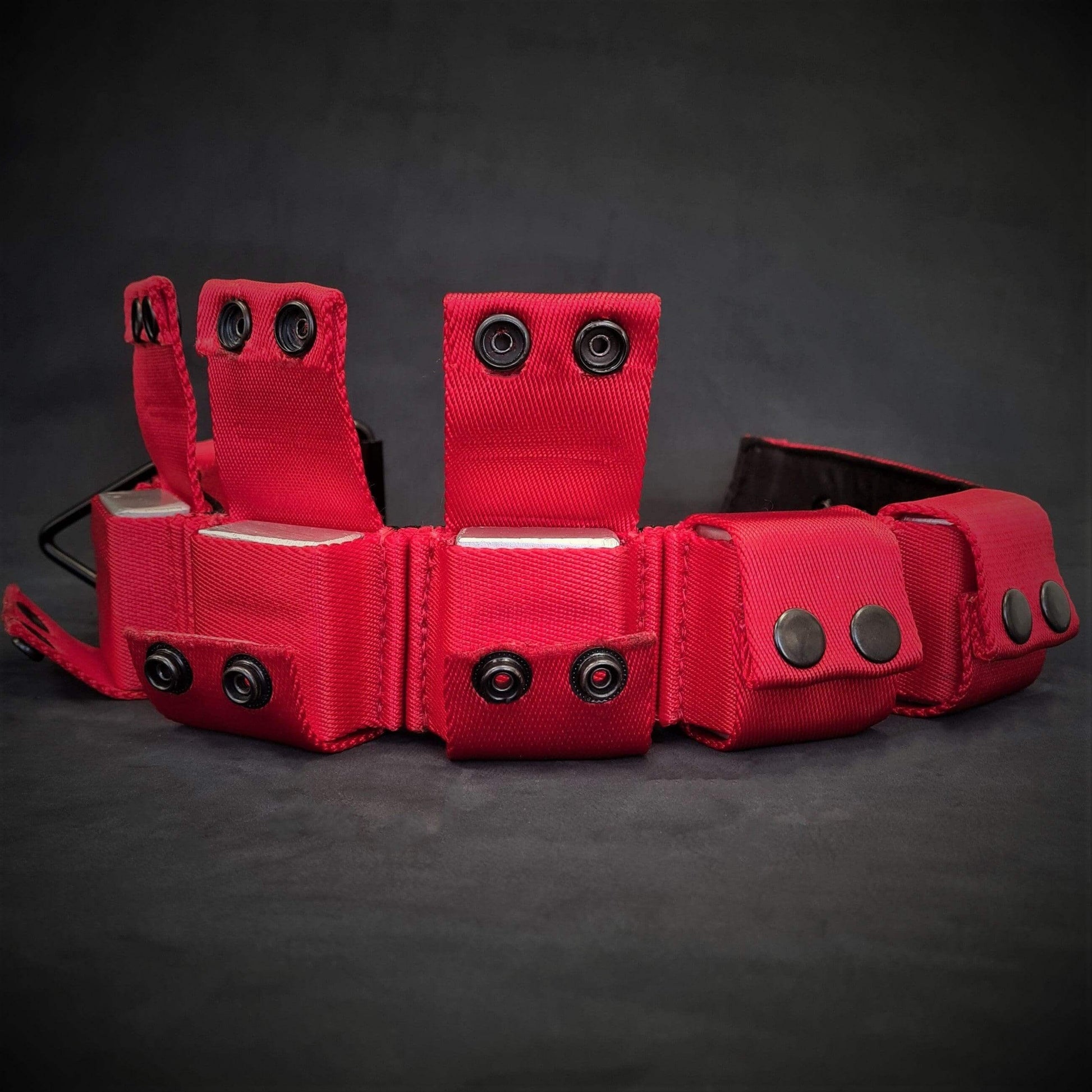 Weighted dog training collar- Red. Large breeds. 5 lbs total. removable weights M