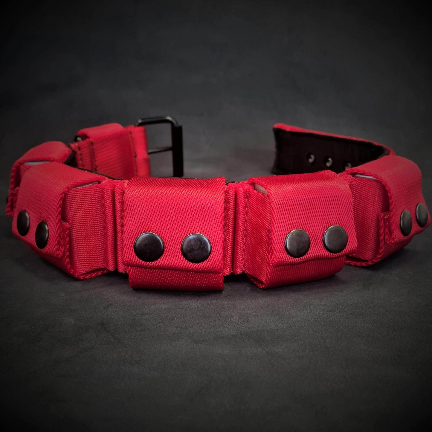 Weighted dog training collar- Red. Large breeds. 5 lbs total. removable weights M