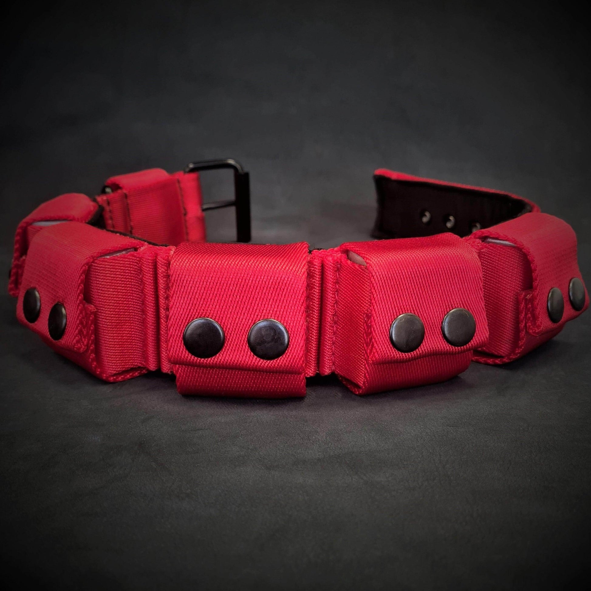 Weighted dog training collar- Red. Large breeds. 5 lbs total. removable weights M