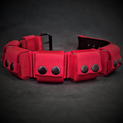 Weighted dog training collar- Red. Large breeds. 5 lbs total. removable weights M